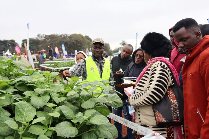 WAMBUGU ATC FIELD DAY (JULY 2023)