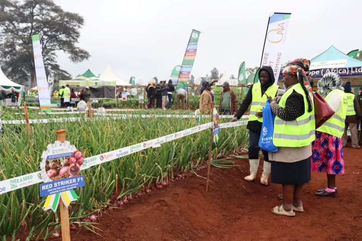 WAMBUGU ATC FIELD DAY (JULY 2023)