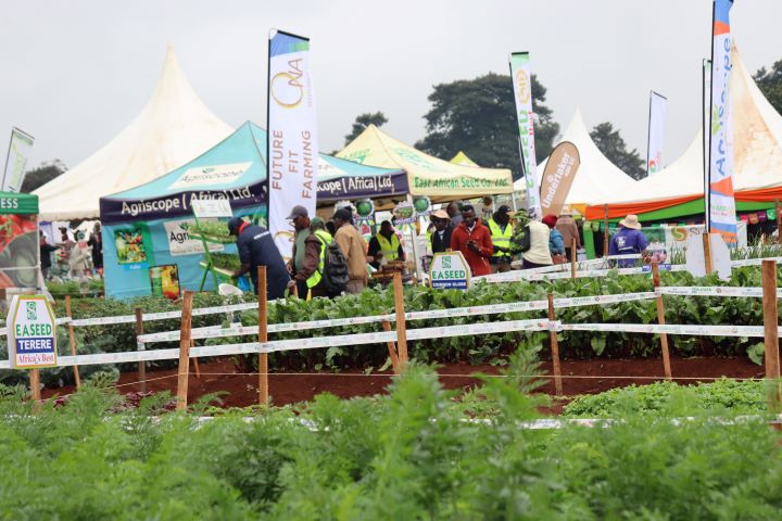 WAMBUGU ATC FIELD DAY (JULY 2023)