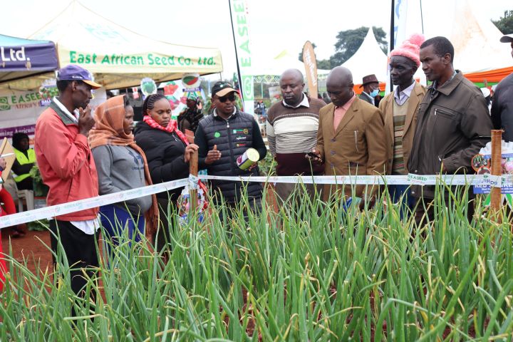 WAMBUGU ATC FIELD DAY (JULY 2023)