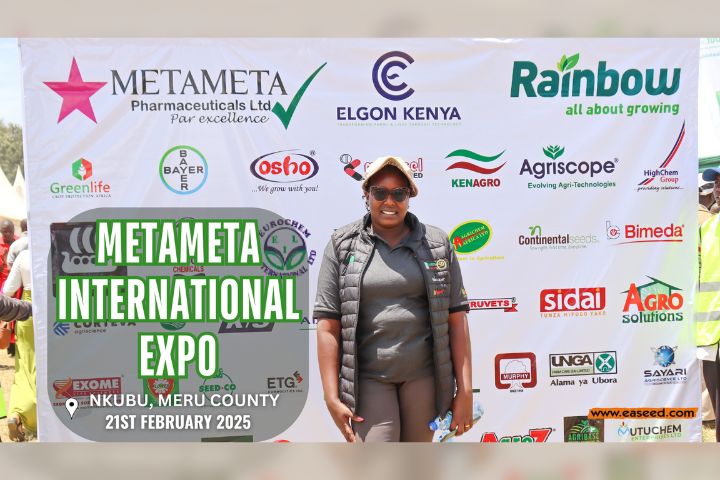 METAMETA INTERNATIONAL EXPO - MERU (FEBRUARY 2025)