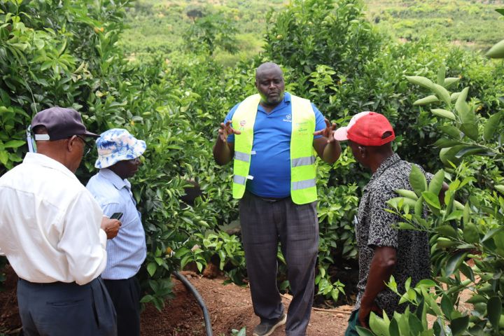 CROP PROTECTION PRODUCTS LAUNCH EVENT - MAKUENI COUNTY (MARCH 2024)