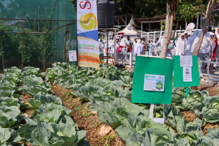 MOMBASA INTERNATIONAL SHOW (SEPTEMBER 2025)