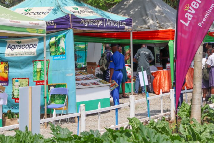 MOMBASA INTERNATIONAL SHOW (SEPTEMBER 2025)
