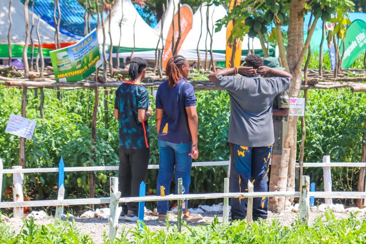 MOMBASA INTERNATIONAL SHOW (SEPTEMBER 2025)