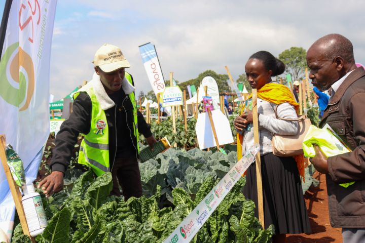 WAMBUGU A.T.C FIELD DAY (JULY 2024)