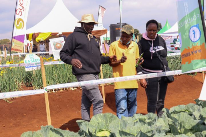 WAMBUGU A.T.C FIELD DAY (JULY 2024)