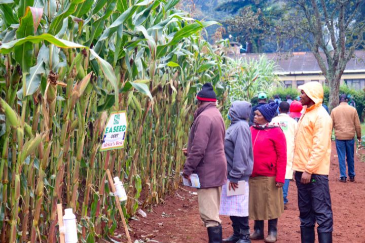 WAMBUGU A.T.C FIELD DAY (JULY 2024)