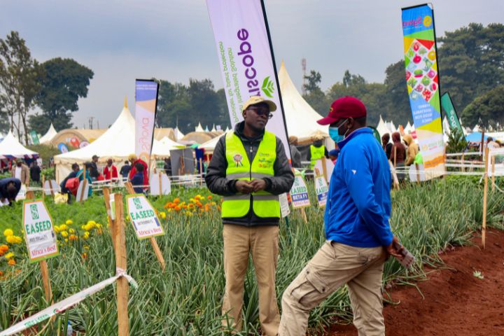 WAMBUGU A.T.C FIELD DAY (JULY 2024)