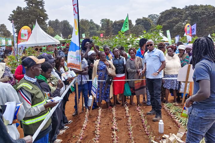 WAMBUGU ATC 2026 (JULY 24TH & 30TH )