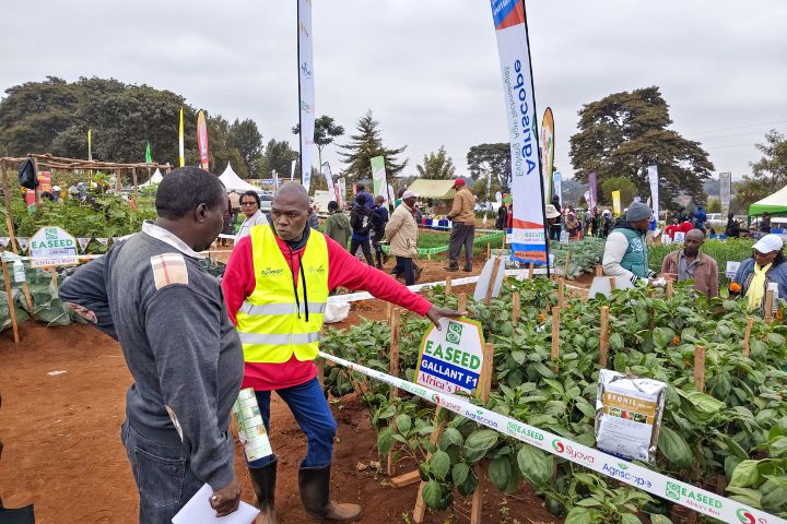 WAMBUGU ATC 2026 (JULY 24TH & 30TH )