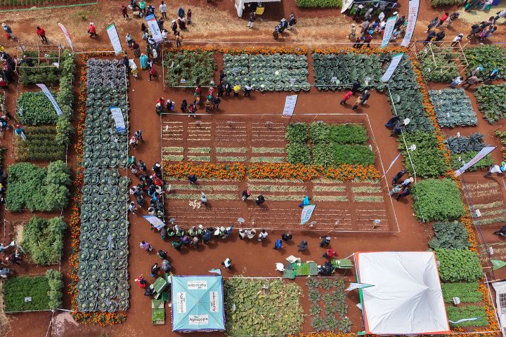 WAMBUGU ATC 2026 (JULY 24TH & 30TH )