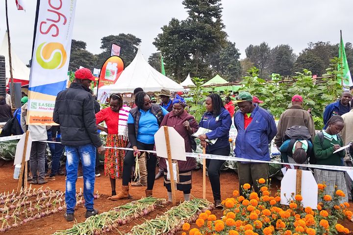 WAMBUGU ATC 2026 (JULY 24TH & 30TH )